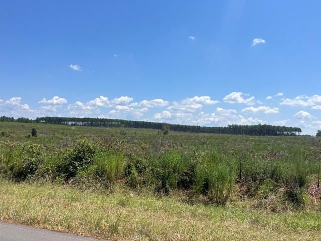 Land for sale in Columbia, Alabama