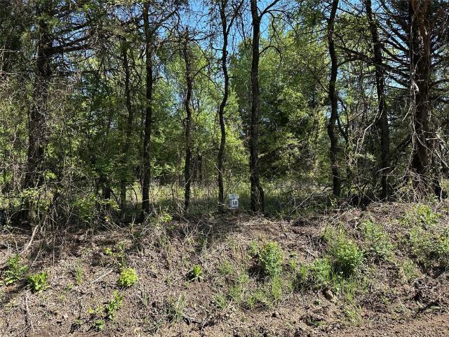 Land for sale in Fannin, Texas