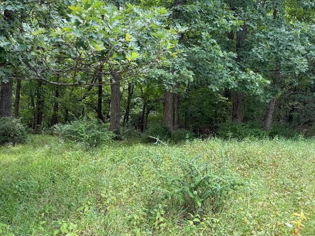Land for sale in Lake Delton, Wisconsin