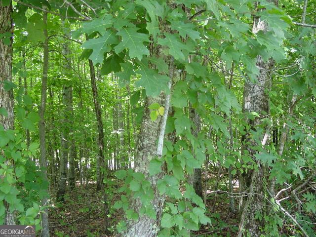 Land for sale in Hayesville, North Carolina