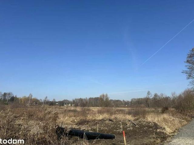 Grunt na sprzedaż w Gorzyce, Śląskie
