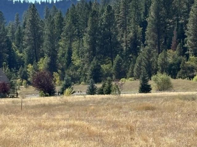 Land for sale in Mccall, Idaho