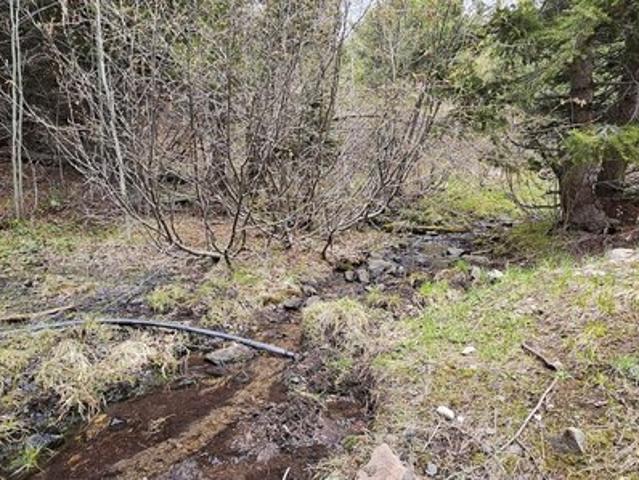 Land for sale in Granite, Montana