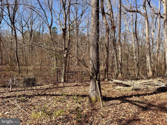 Land for sale in Virginia