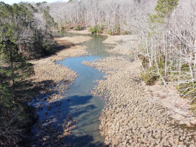 Land for sale in Virginia