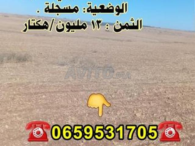 Propriété vente à Mellal