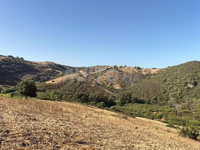 Propriété vente à Assilah, Tanger-Tétouan