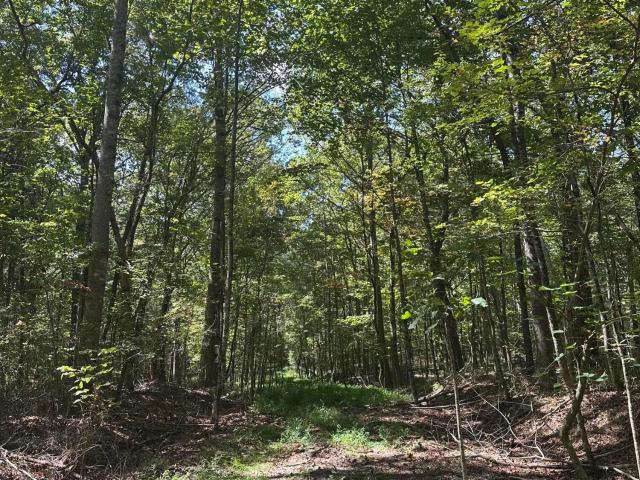 Land for sale in Tennessee