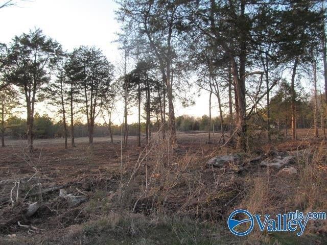Land for sale in Albertville, Alabama