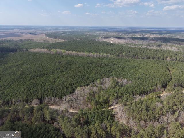 Land for sale in Rayle, Georgia