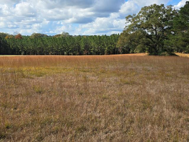 Land for sale in Mendenhall, Mississippi