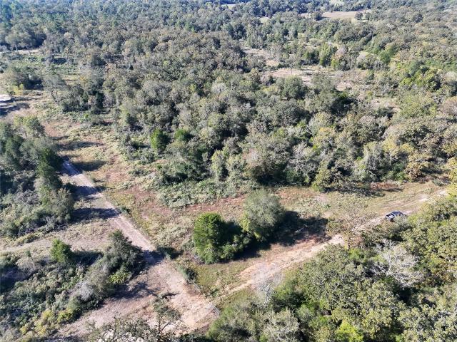Land for sale in Centerville, Leon County
