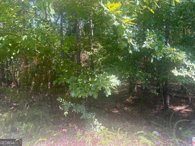 Land for sale in Lindale, Georgia