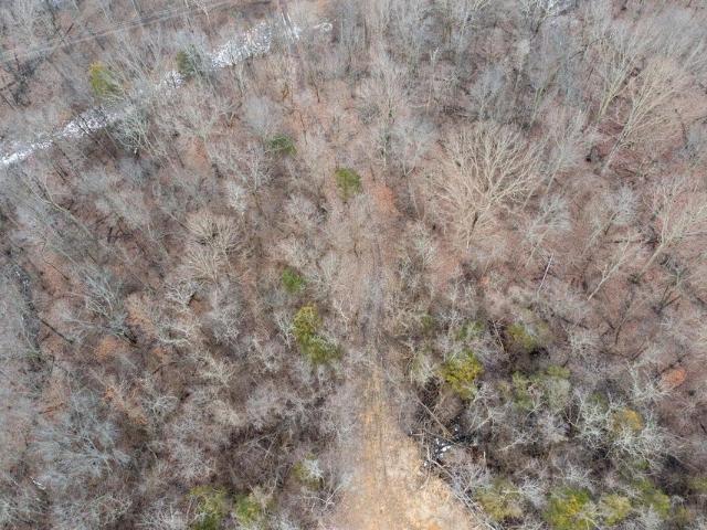 Land for sale in Williamstown, Kentucky