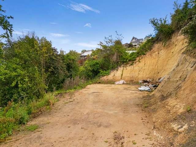 House for sale in Napier