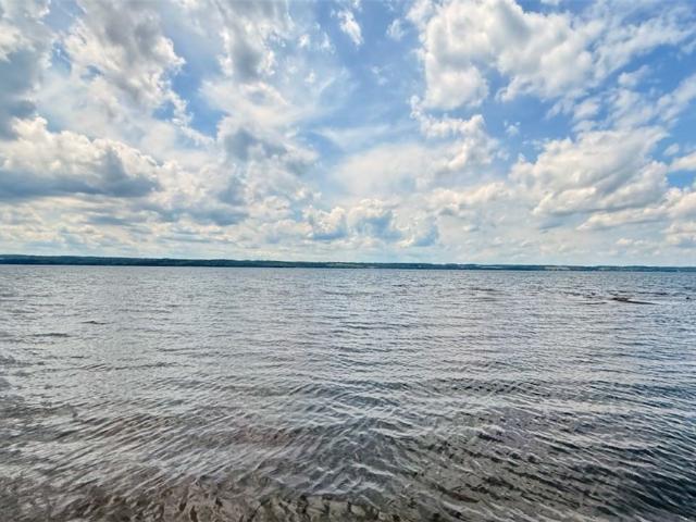 House for sale in Cayuga, New York