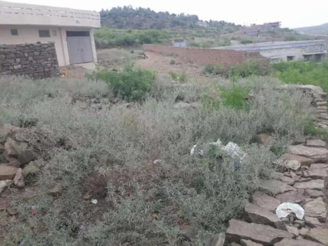 Land for sale in ڈیرہ غازی خان, ڈیرہ غازی خان ڈویژن