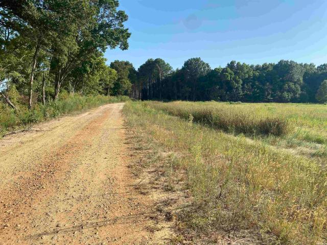 Land for sale in Ark