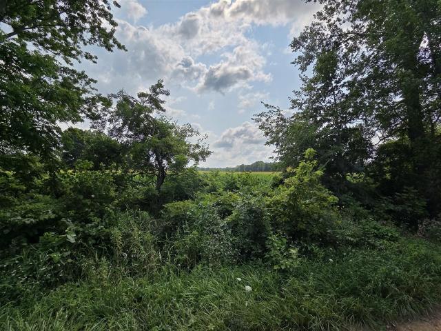 Land for sale in Michigan