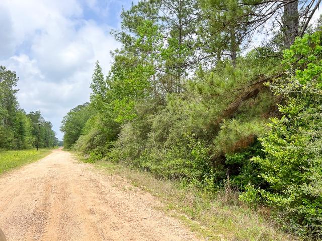 Land for sale in Silsbee, Texas