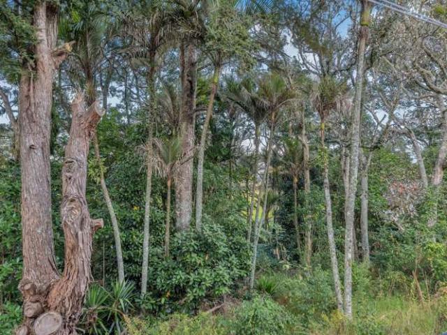 House for sale in Howick
