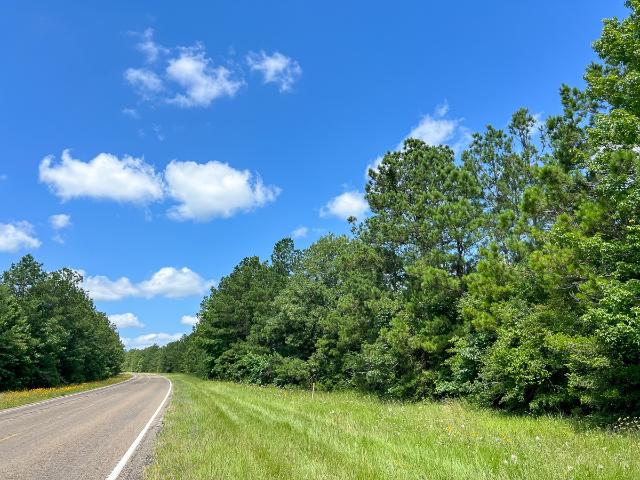 Land for sale in Colmesneil, Texas