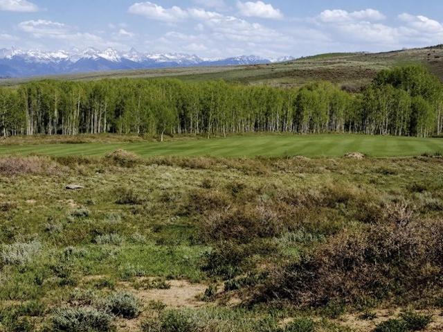Land for sale in Montrose, Colorado