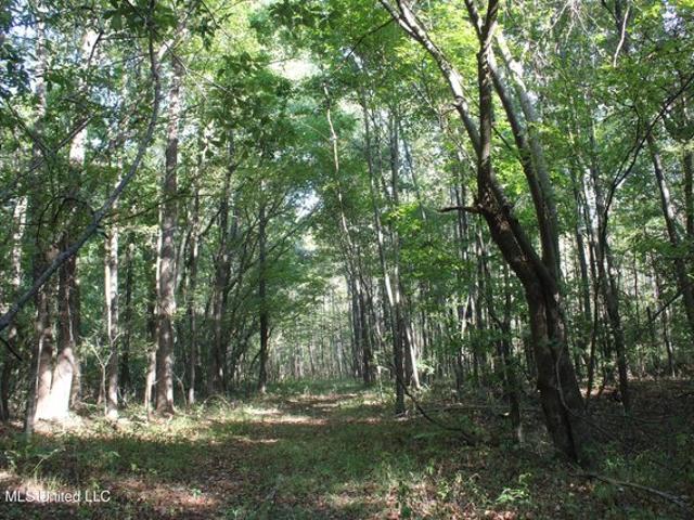 Land for sale in Nesbit, Hernando