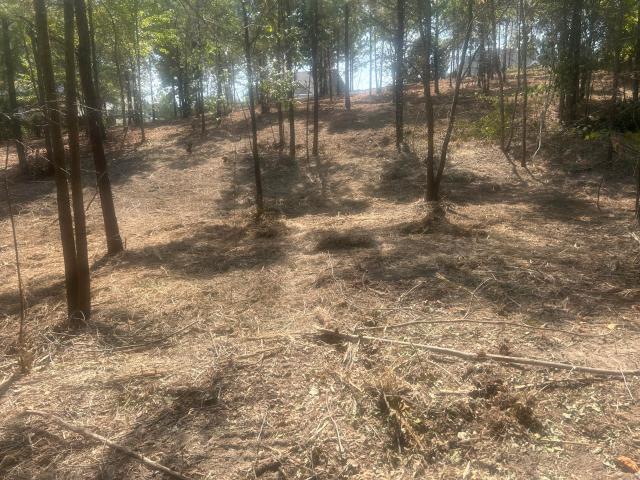 Land for sale in Cohutta, Georgia