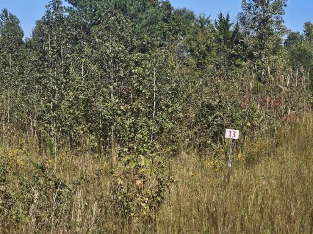 Land for sale in Tate, Mississippi