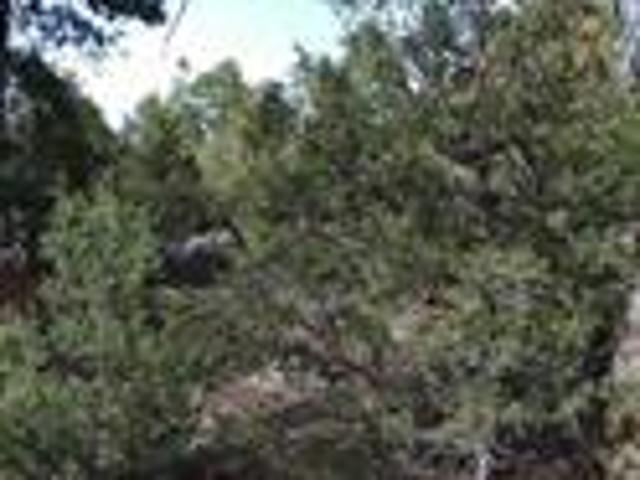 Land for sale in Alamosa, Colorado
