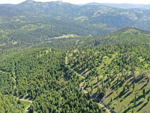 Land for sale in Granite, Montana