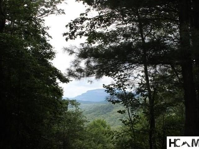 Land for sale in Transylvania, North Carolina