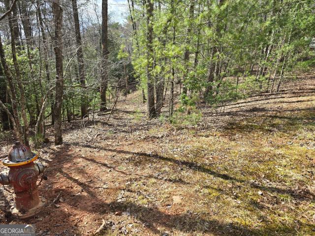 Land for sale in Georgia