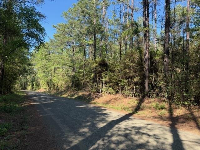 Land for sale in Broaddus, Texas