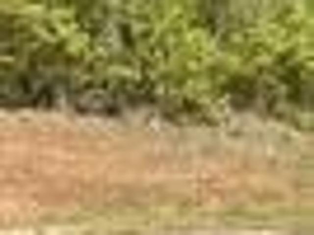 Land for sale in Lanett, Alabama