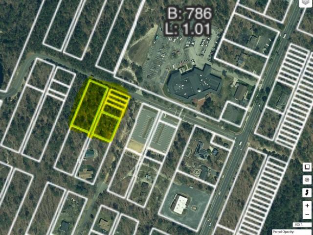 Land for sale in Mizpah, New Jersey
