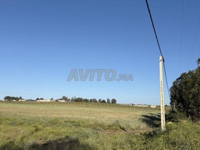 Propriété vente à El Ma, Gharb-Chrarda-Beni Hssen