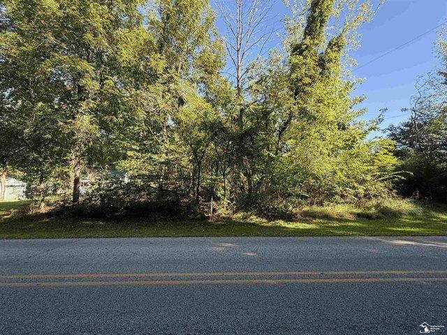 Land for sale in Rollin, Michigan