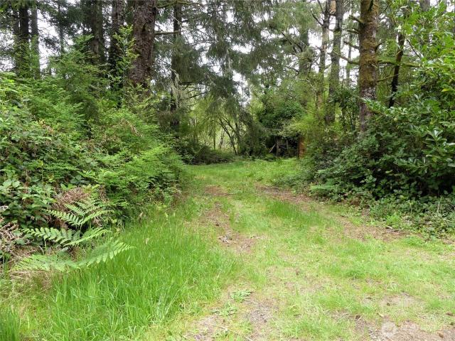 Land for sale in Long Beach, Washington