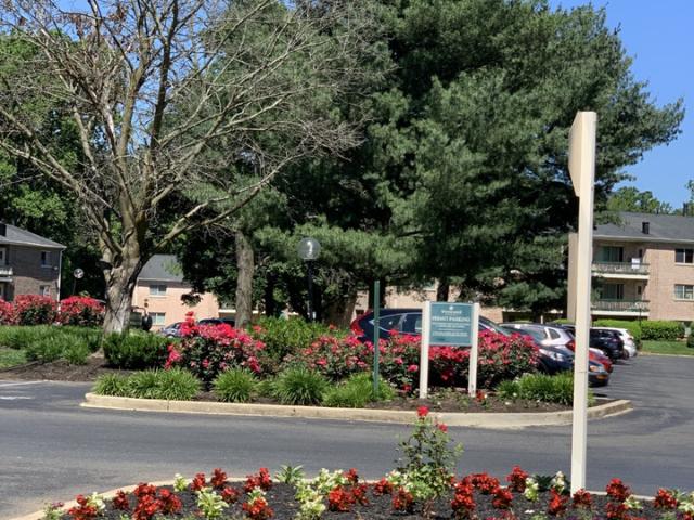 Apartment for rent in Rockville, Maryland