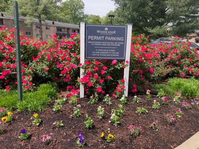 Apartment for rent in Rockville, Maryland