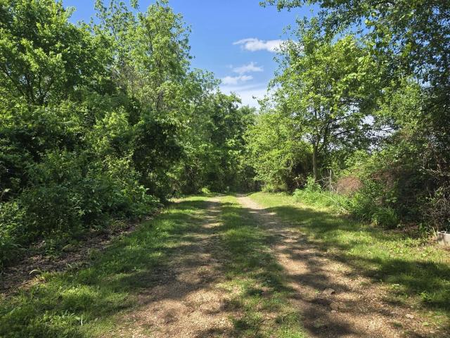 House for sale in Cabool, Missouri