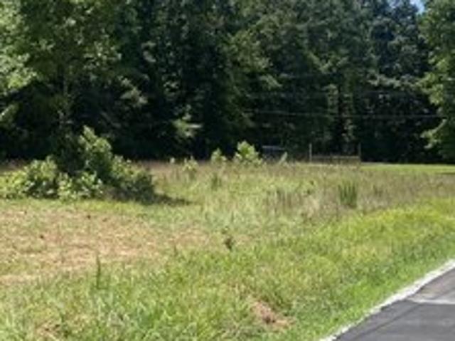 Land for sale in Banks, Georgia