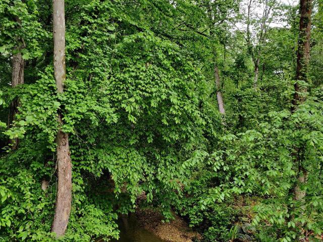Land for sale in Accokeek, Maryland