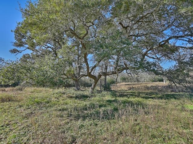 Land for sale in Glidden, Texas