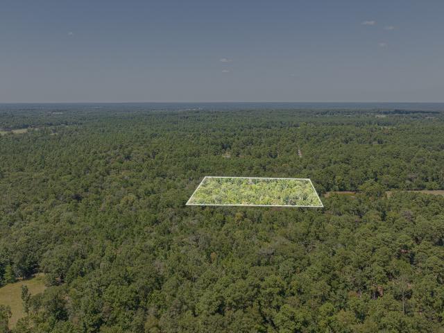 Land for sale in Willis, Texas