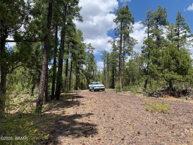 Land for sale in Navajo, Arizona