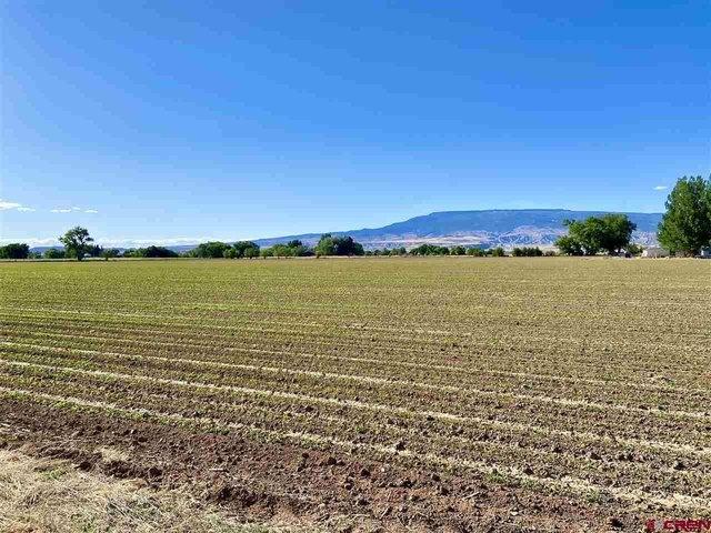 Land for sale in Delta, Colorado