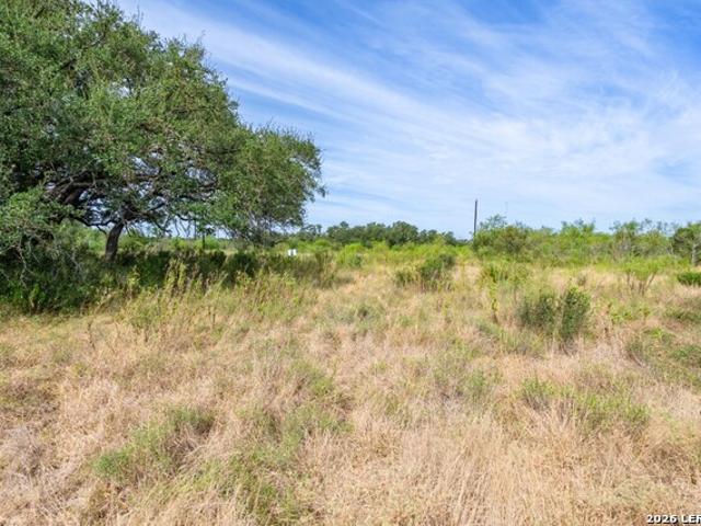 Land for sale in D'Hanis, Medina County